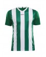 CRAFT Progress Jersey Stripe M T-Shirt personalisierbar