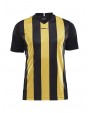 CRAFT Progress Jersey Stripe M T-Shirt personalisierbar