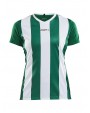 T-shirt CRAFT Progress Jersey Stripe W voor bedrukking &amp; borduring