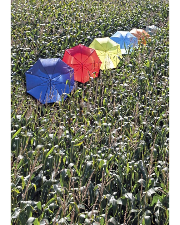 Parapluie personnalisable PRINTWEAR Automatic Umbrella With Wooden Handle