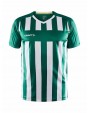 CRAFT Progress 2.0 Stripe Jersey M T-Shirt personalisierbar