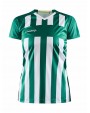 T-shirt CRAFT Progress 2.0 Stripe Jersey W voor bedrukking &amp; borduring