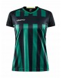 T-shirt CRAFT Progress 2.0 Stripe Jersey W voor bedrukking &amp; borduring