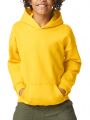 Softstyle Midweight Fleece Youth Hoodie